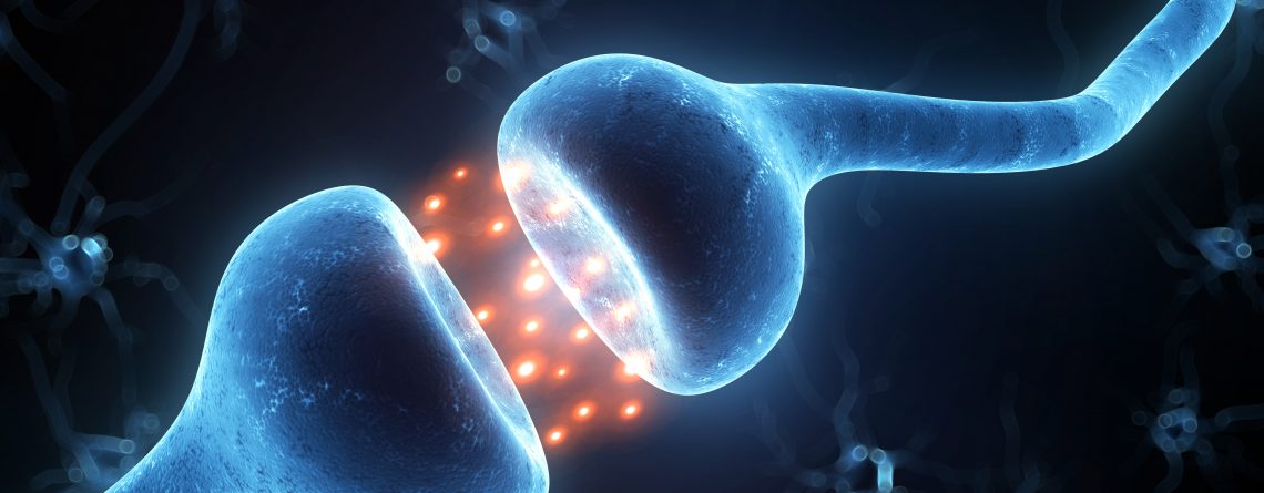 What are Cannabinoid Receptors?