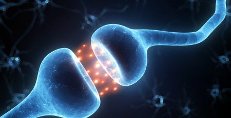 What are Cannabinoid Receptors?