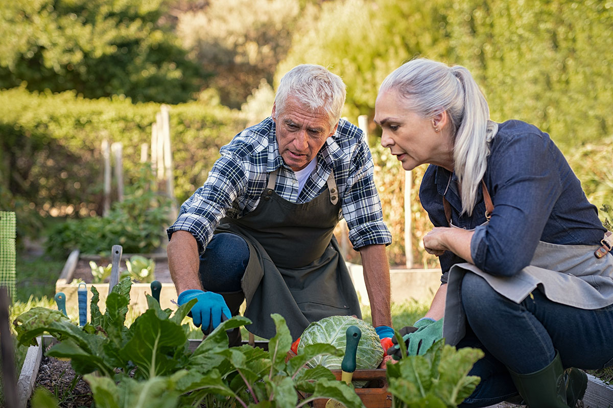 Retirement and the “Busy Ethic”