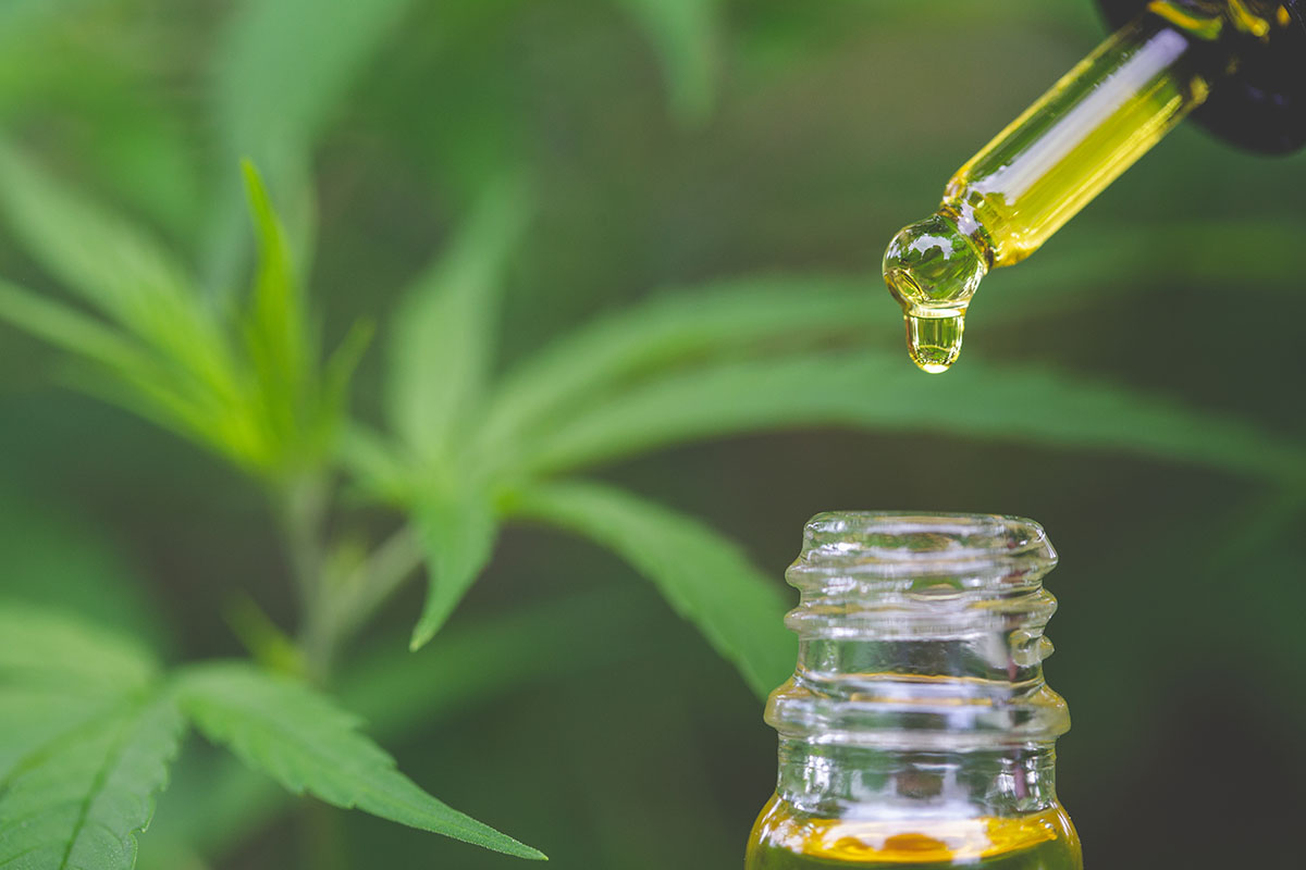 Who Is Using CBD and Why