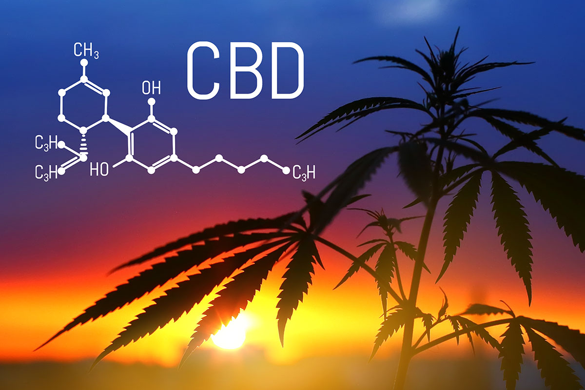 Is CBD Psychoactive
