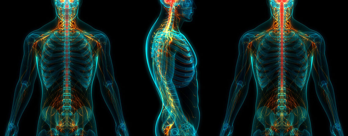 Keeping Your Nervous System Healthy